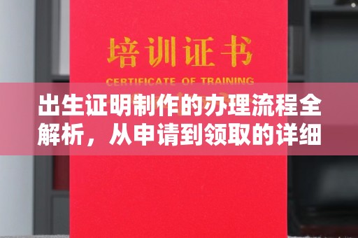 江达出生证明制作的办理流程全解析，从申请到领取的详细指南